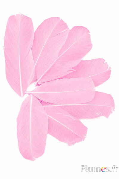 Petali in piume - 11-13 x 5-6 cm - rosa